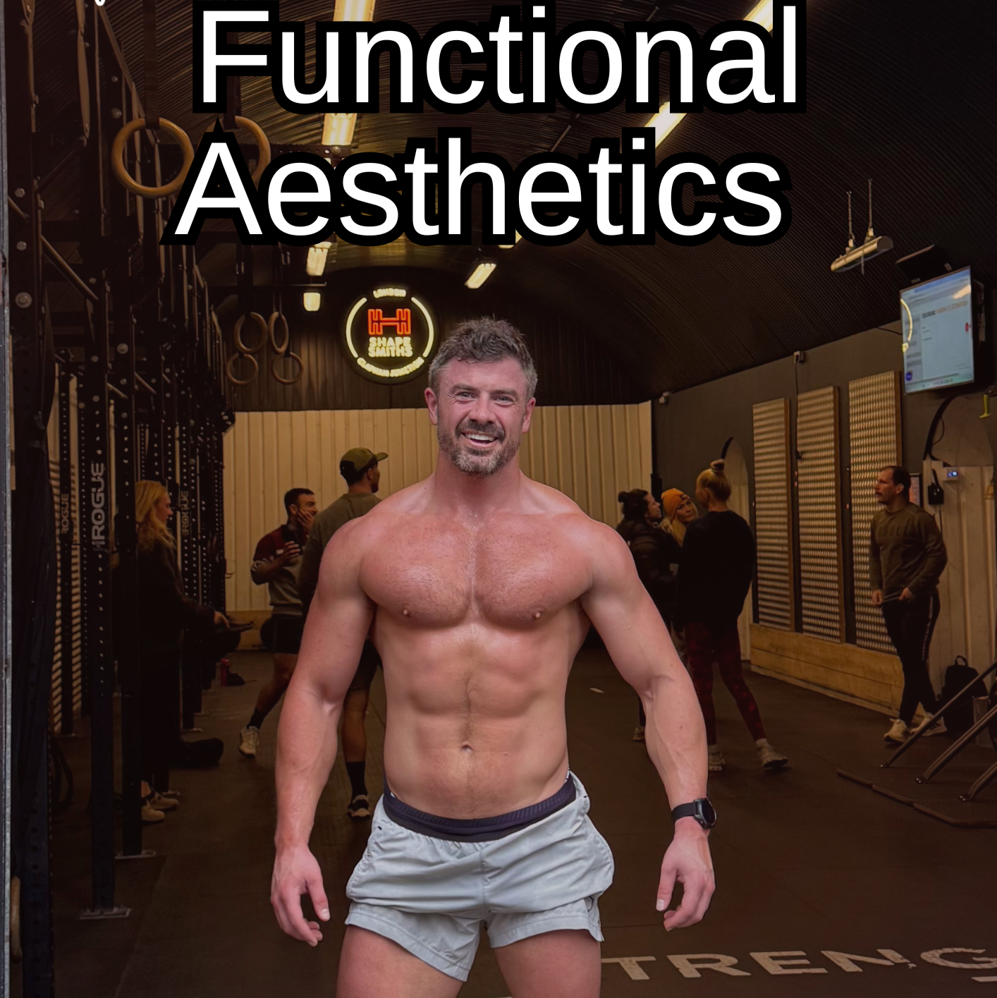 Functional Aesthetics - The Ultimate Hybrid Training eBook